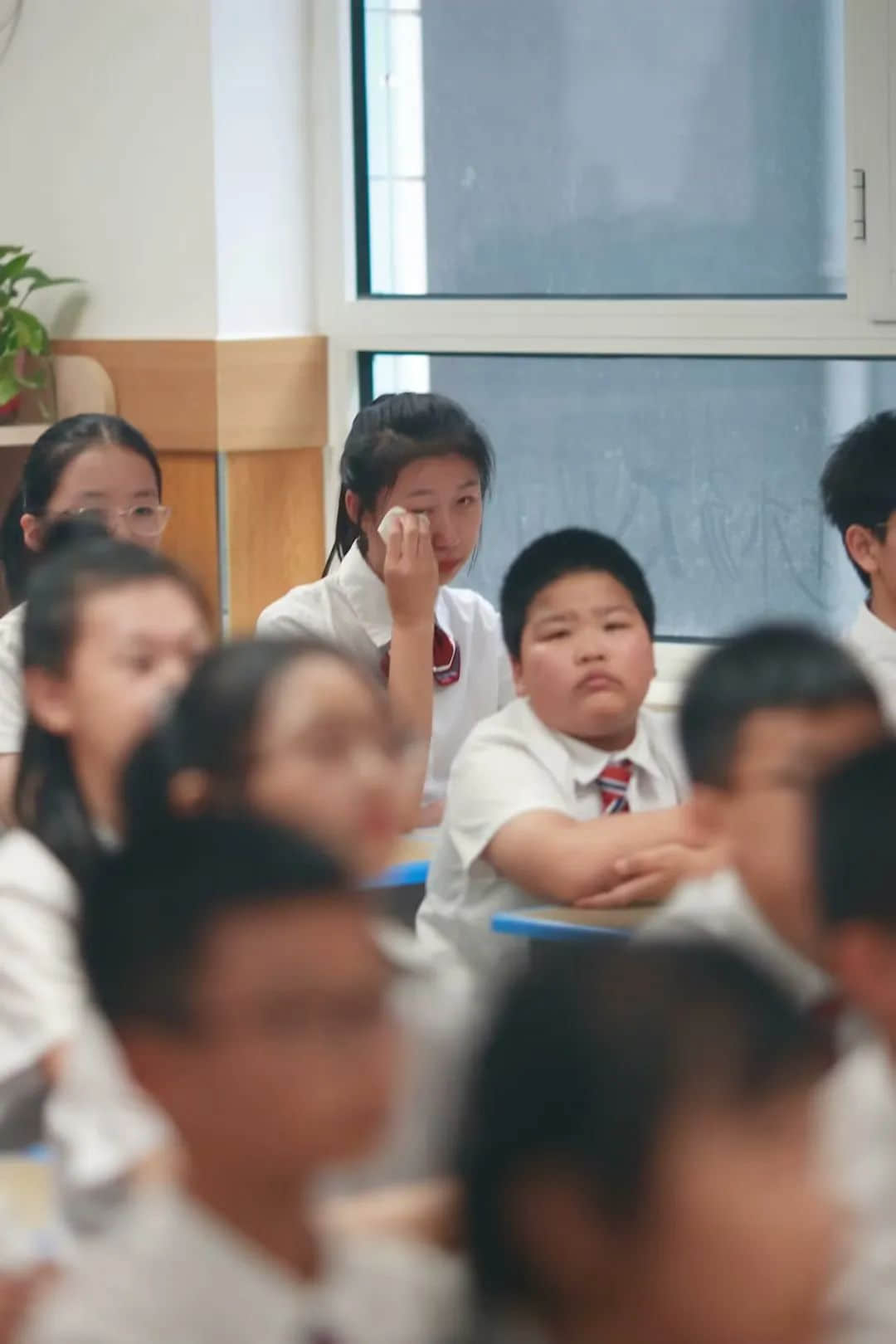 【立小•毕业季】不负韶华 梦想启航｜2023届毕业生剪影
