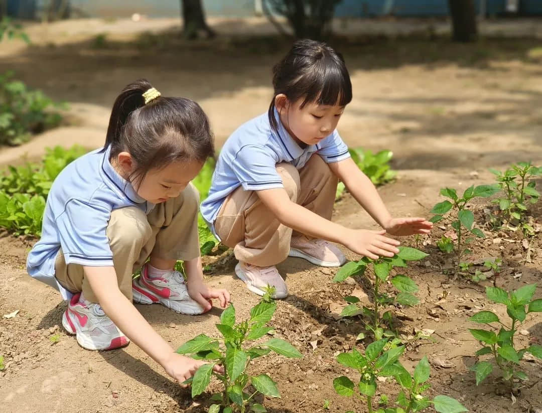 【预之乐】庆六一，“预”成长——石家庄私立一中附小预科部儿童节成长月系列活动