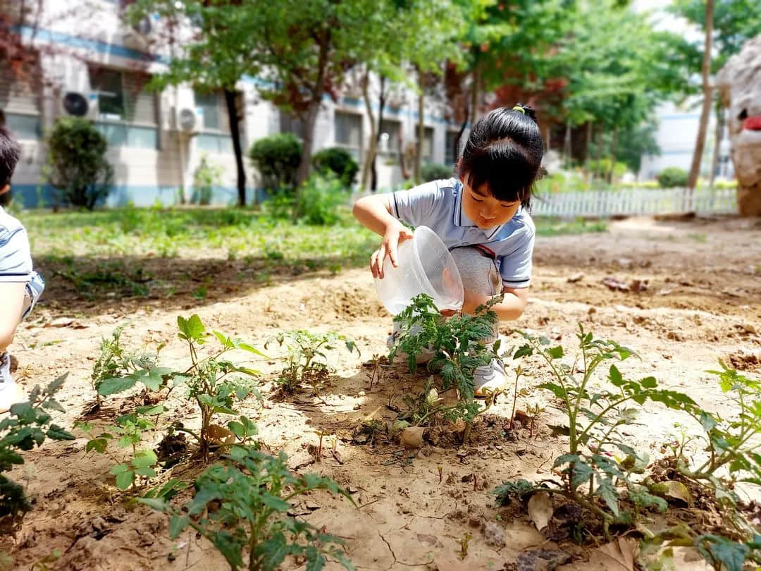 【预之乐】庆六一，“预”成长——石家庄私立一中附小预科部儿童节成长月系列活动