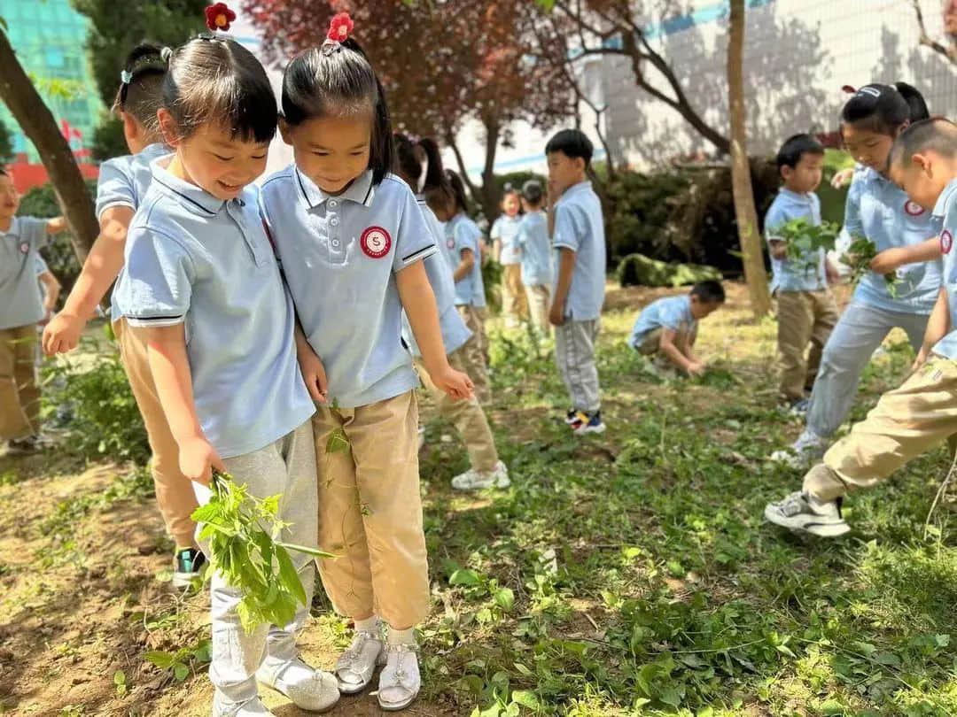 【预之乐】庆六一，“预”成长——石家庄私立一中附小预科部儿童节成长月系列活动