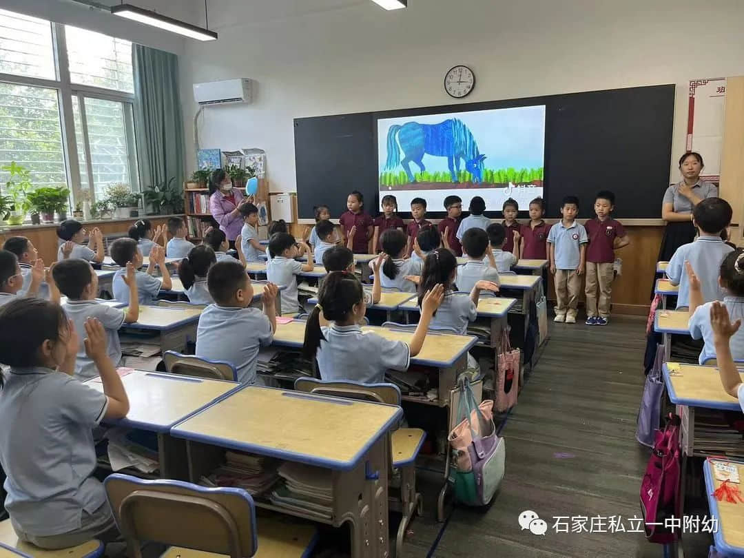 【幼成长】“幼”进小学，赴成长之约-——私立第一中学幼儿园/小学初体验