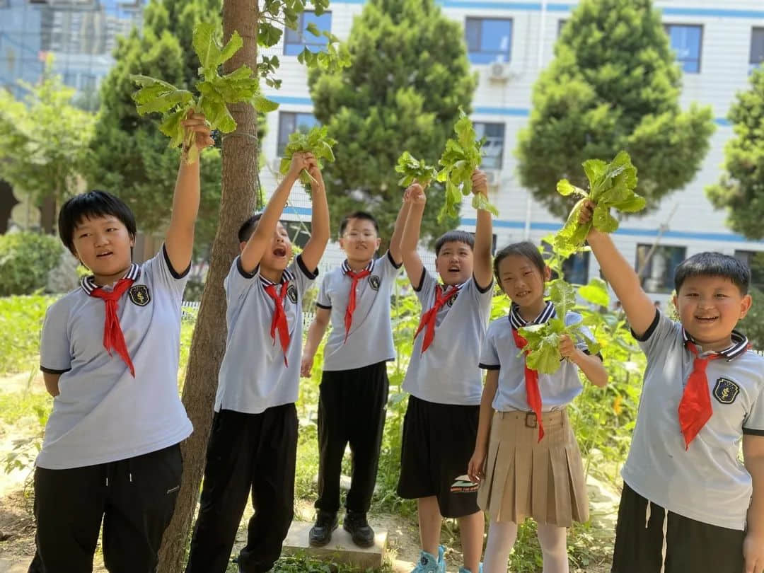 【立小•生命课程】童心享种植 同乐享收获｜私立一中附属小学“成长四记”之生命种植记