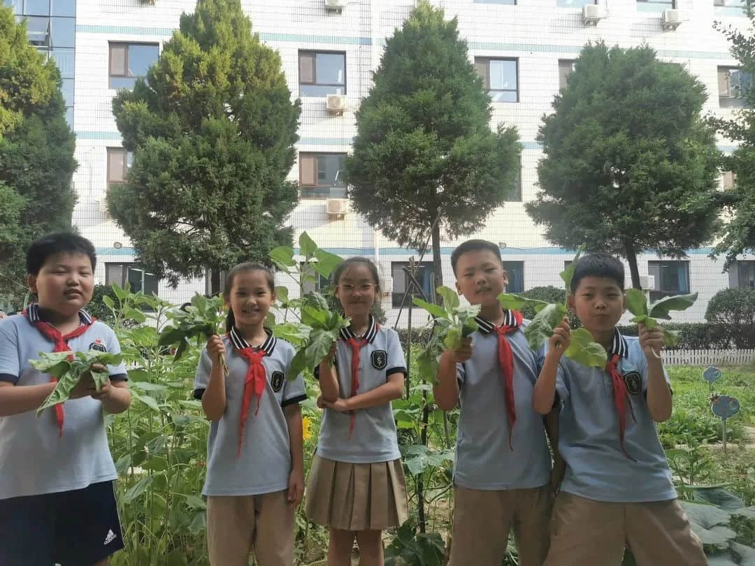 【立小•生命课程】童心享种植 同乐享收获｜私立一中附属小学“成长四记”之生命种植记