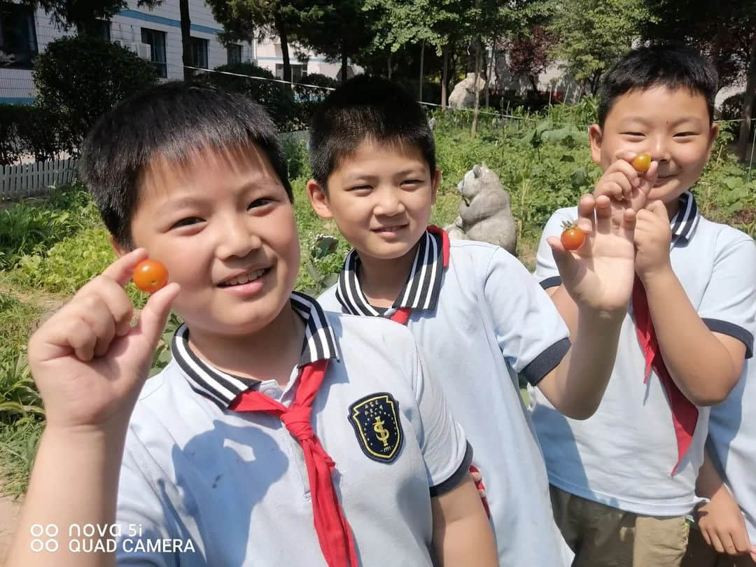 【立小•生命课程】童心享种植 同乐享收获｜私立一中附属小学“成长四记”之生命种植记