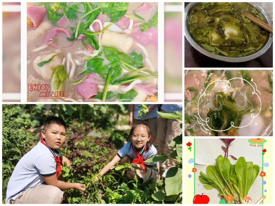【立小•生命课程】童心享种植 同乐享收获｜私立一中附属小学“成长四记”之生命种植记