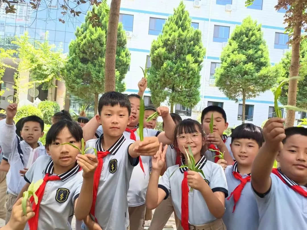 【立小•生命课程】童心享种植 同乐享收获｜私立一中附属小学“成长四记”之生命种植记