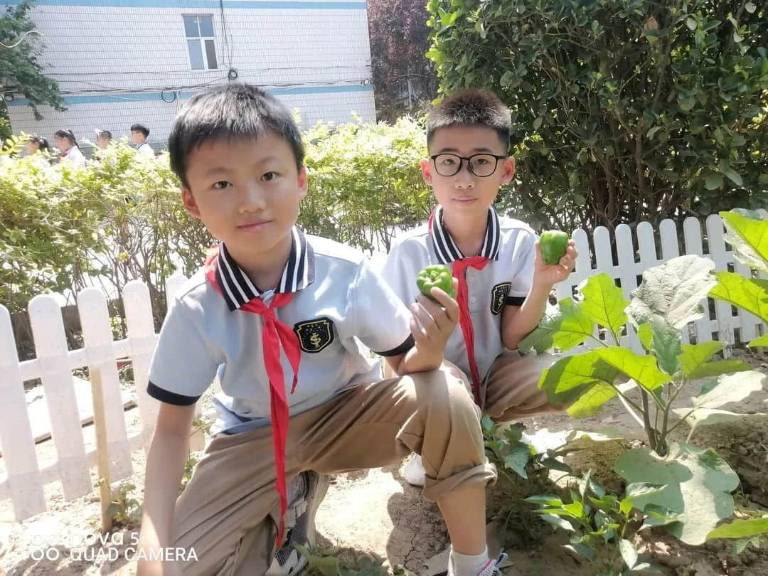 【立小•生命课程】童心享种植 同乐享收获｜私立一中附属小学“成长四记”之生命种植记