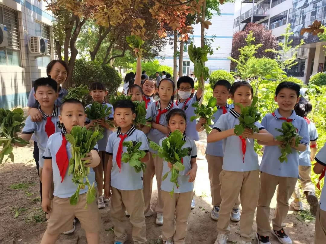 【立小•生命课程】童心享种植 同乐享收获｜私立一中附属小学“成长四记”之生命种植记