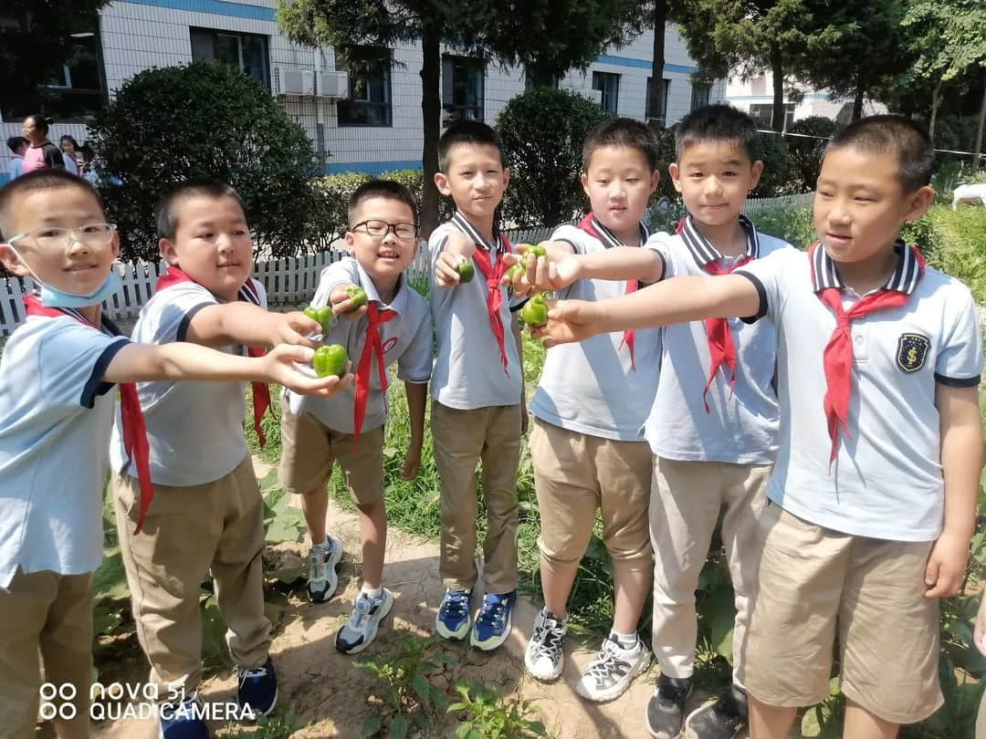 【立小•生命课程】童心享种植 同乐享收获｜私立一中附属小学“成长四记”之生命种植记