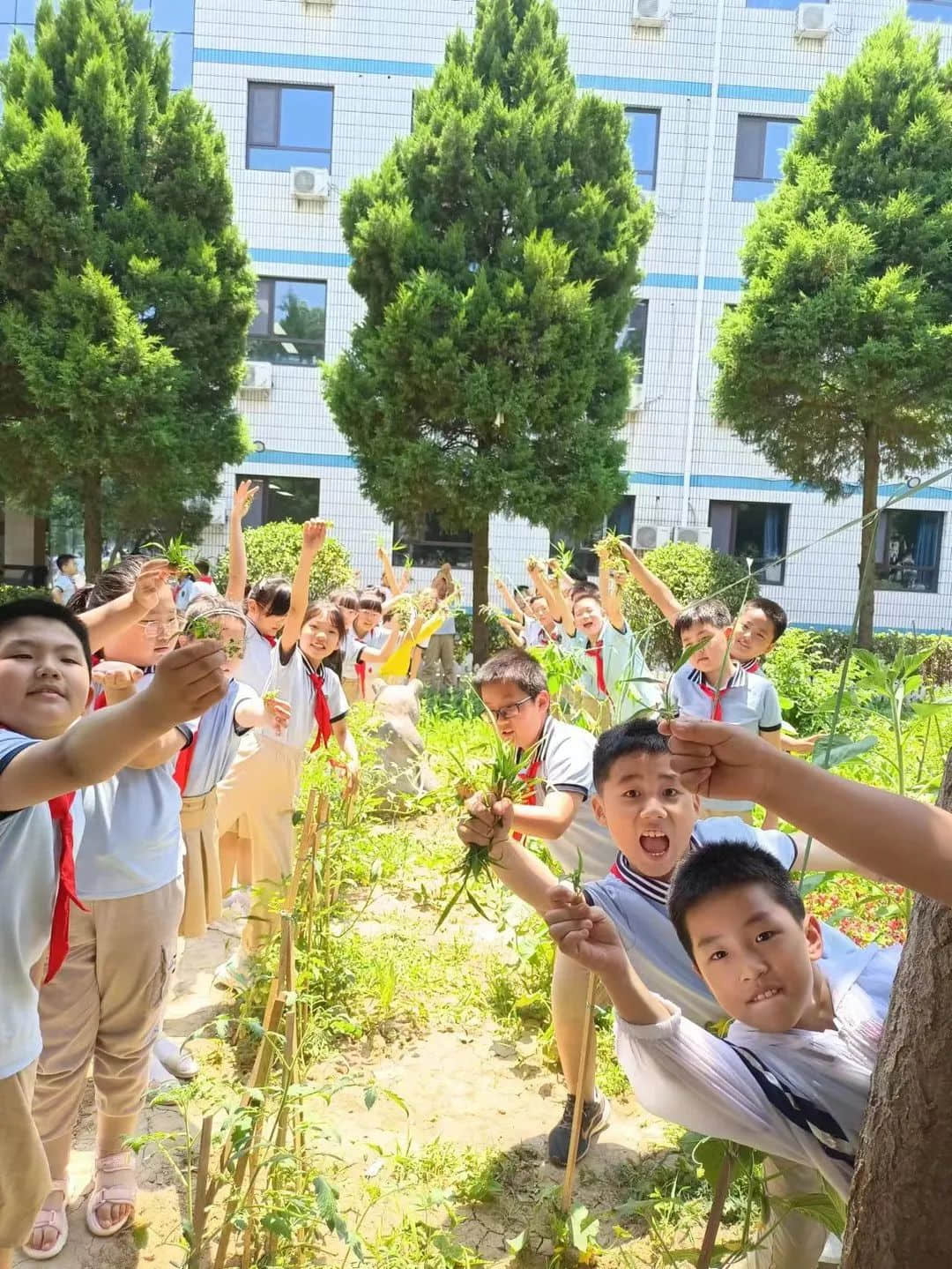 【立小•生命课程】童心享种植 同乐享收获｜私立一中附属小学“成长四记”之生命种植记