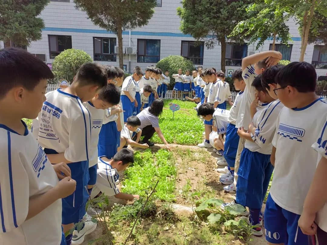 【立小•生命课程】童心享种植 同乐享收获｜私立一中附属小学“成长四记”之生命种植记