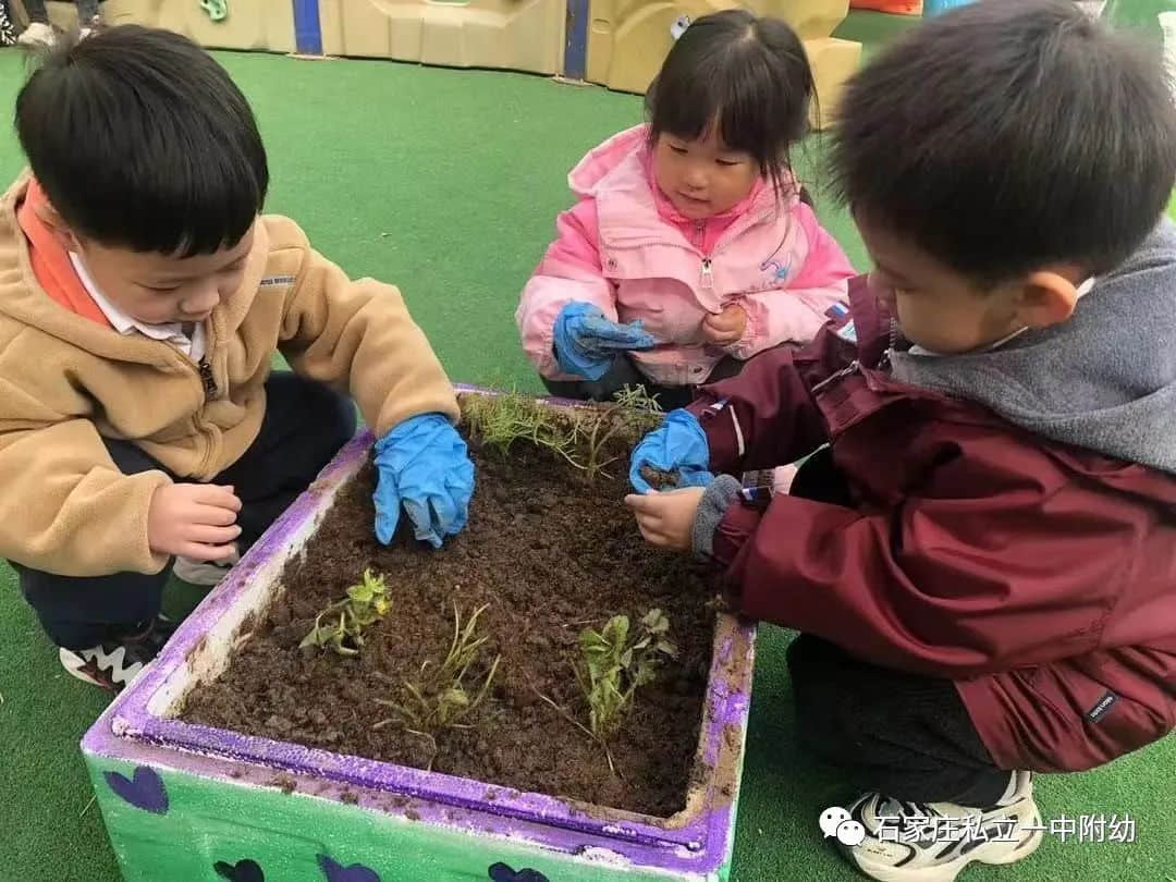 【幼之育】用爱养育 用心教育——石家庄私立第一中学幼儿园