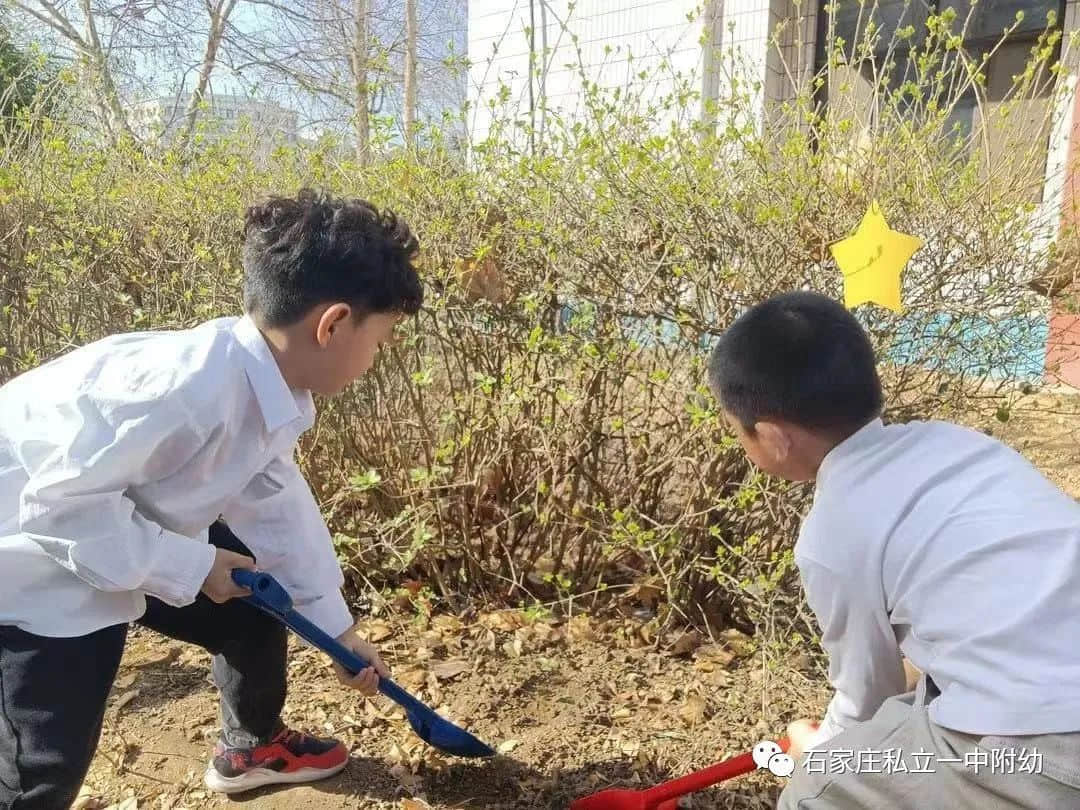 【幼之育】用爱养育 用心教育——石家庄私立第一中学幼儿园