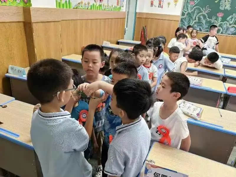 【立小•习惯养成记】最美的开始 最好的未来｜一年级立娃成长风采纪实