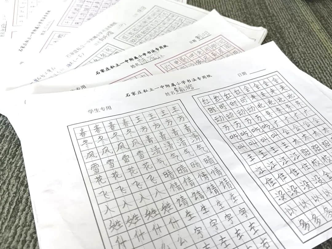 【立小•聚焦教学】缤纷作业展风采｜石家庄私立一中附属小学创意作业展