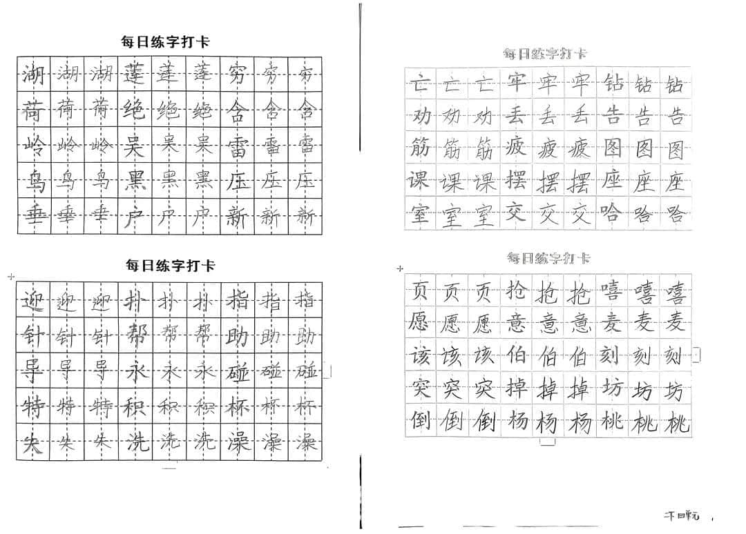 【立小•聚焦教学】缤纷作业展风采｜石家庄私立一中附属小学创意作业展