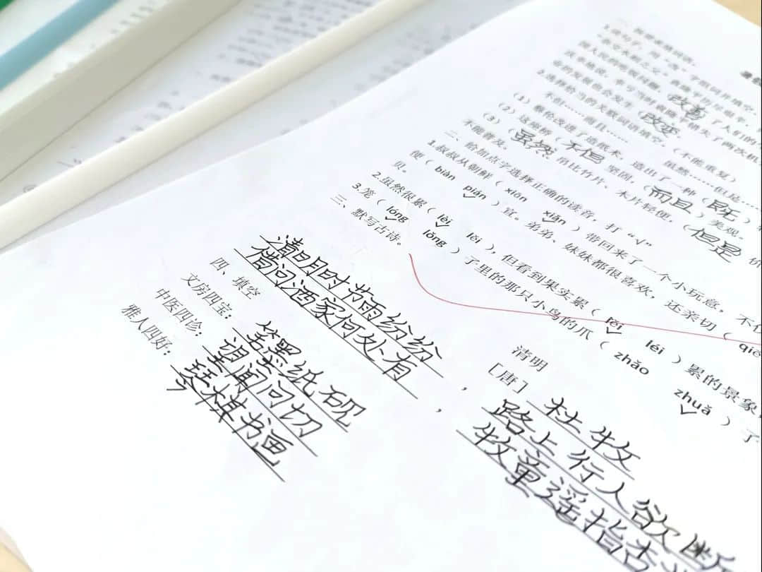 【立小•聚焦教学】缤纷作业展风采｜石家庄私立一中附属小学创意作业展