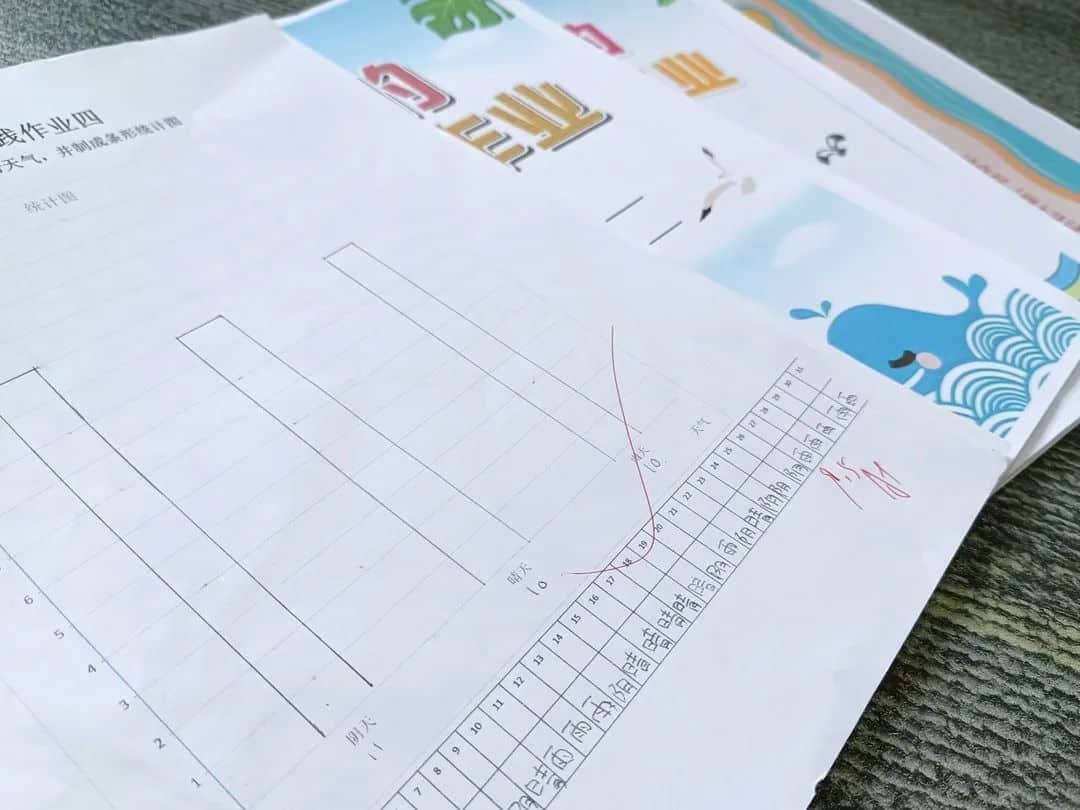 【立小•聚焦教学】缤纷作业展风采｜石家庄私立一中附属小学创意作业展