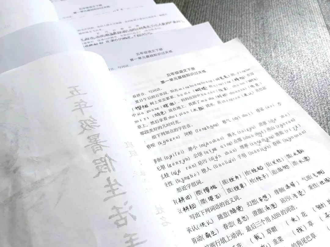 【立小•聚焦教学】缤纷作业展风采｜石家庄私立一中附属小学创意作业展