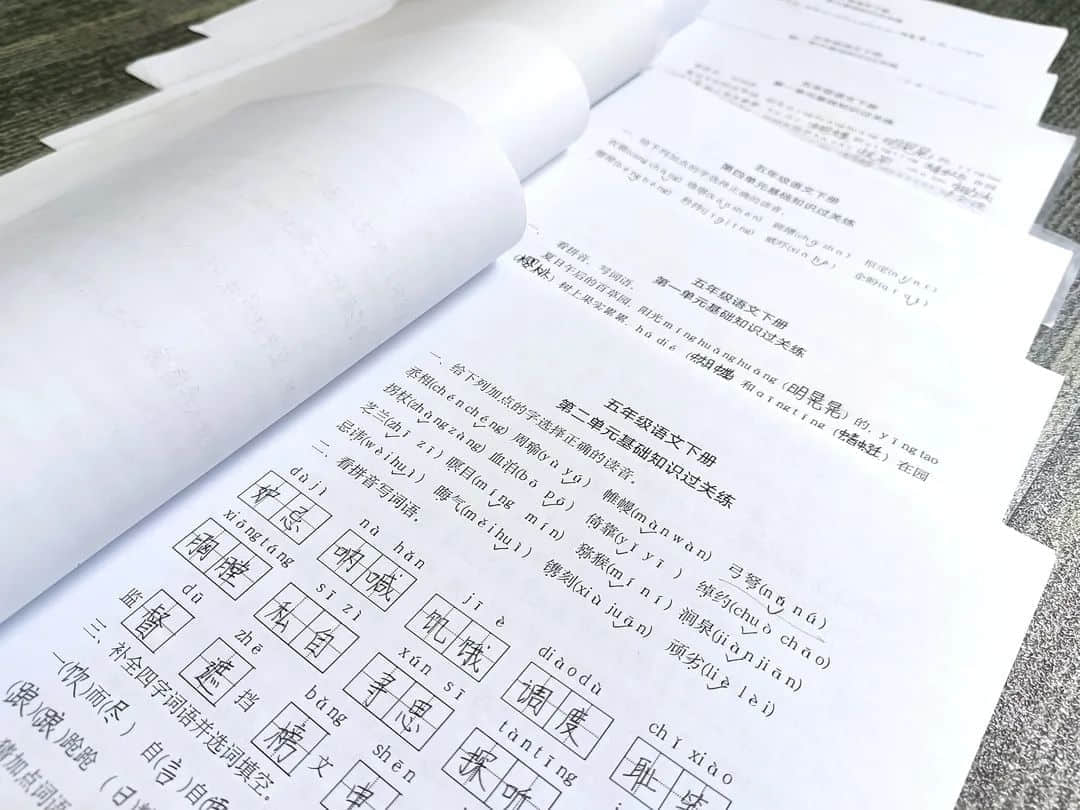 【立小•聚焦教学】缤纷作业展风采｜石家庄私立一中附属小学创意作业展