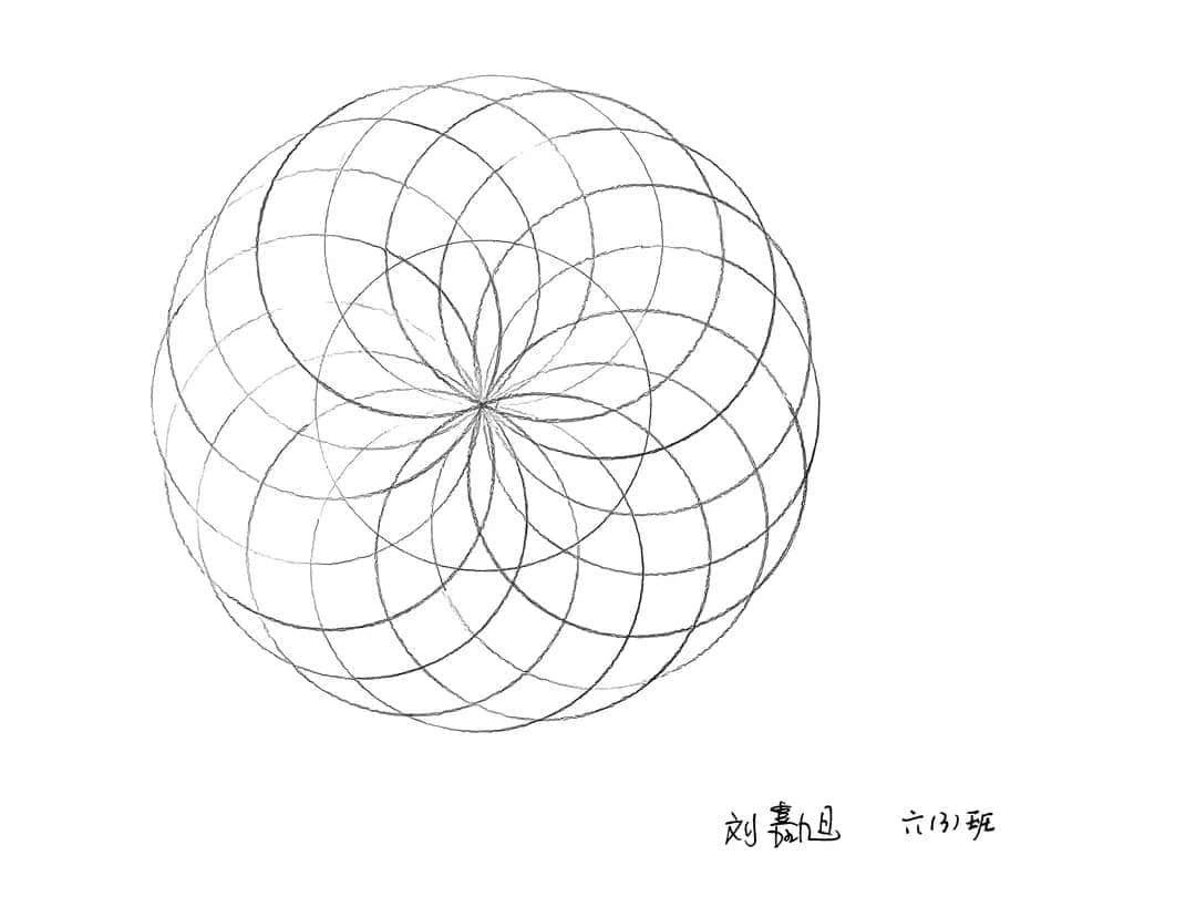 【立小•聚焦教学】缤纷作业展风采｜石家庄私立一中附属小学创意作业展