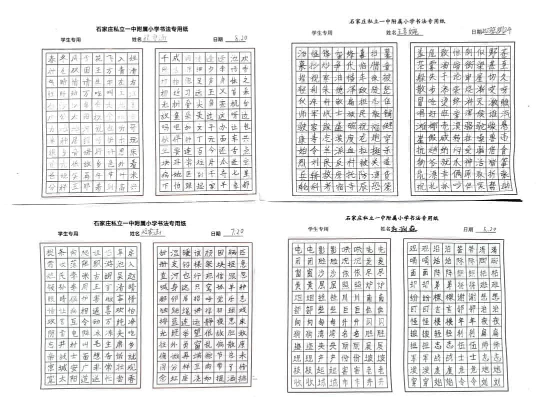 【立小•聚焦教学】缤纷作业展风采｜石家庄私立一中附属小学创意作业展