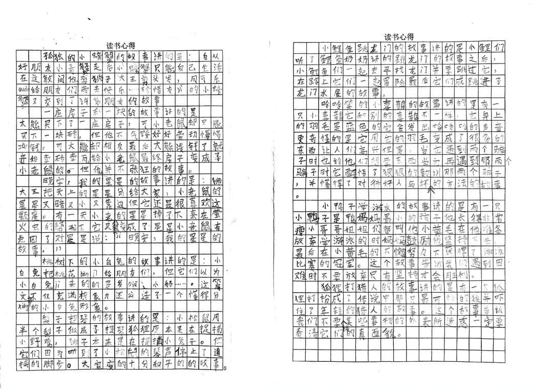 【立小•聚焦教学】缤纷作业展风采｜石家庄私立一中附属小学创意作业展