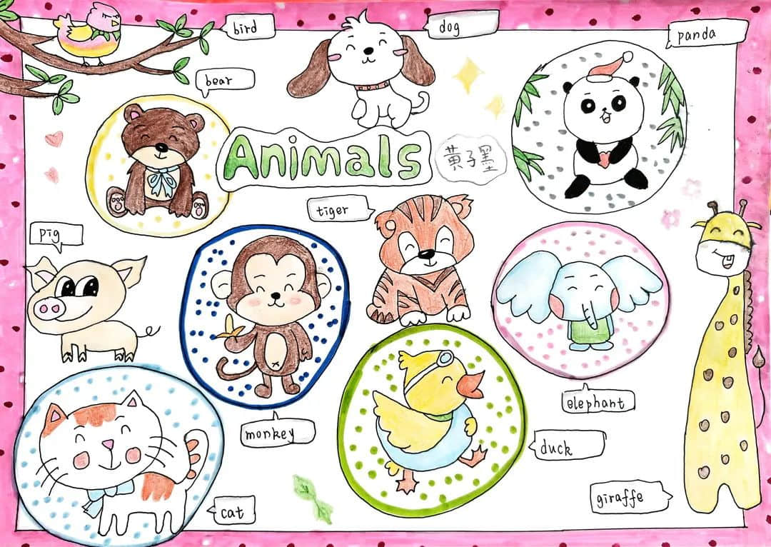【立小•聚焦教学】缤纷作业展风采｜石家庄私立一中附属小学创意作业展