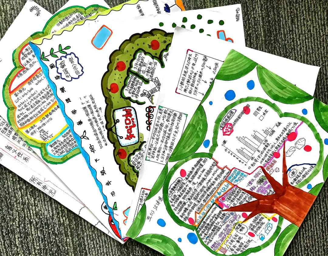 【立小•聚焦教学】缤纷作业展风采｜石家庄私立一中附属小学创意作业展