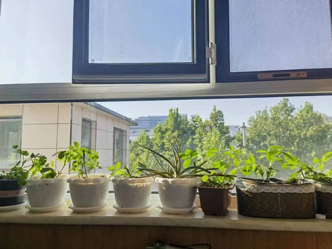 【立小•完美教室】一栏一角显温馨 一班一品展特色｜私立一中附属小学班级文化展示