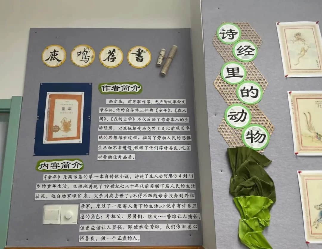 【立小•完美教室】一栏一角显温馨 一班一品展特色｜私立一中附属小学班级文化展示