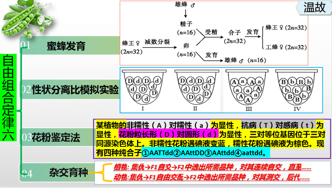 温故知新 以赛促教丨“三一高效课堂”之“温”环节解析