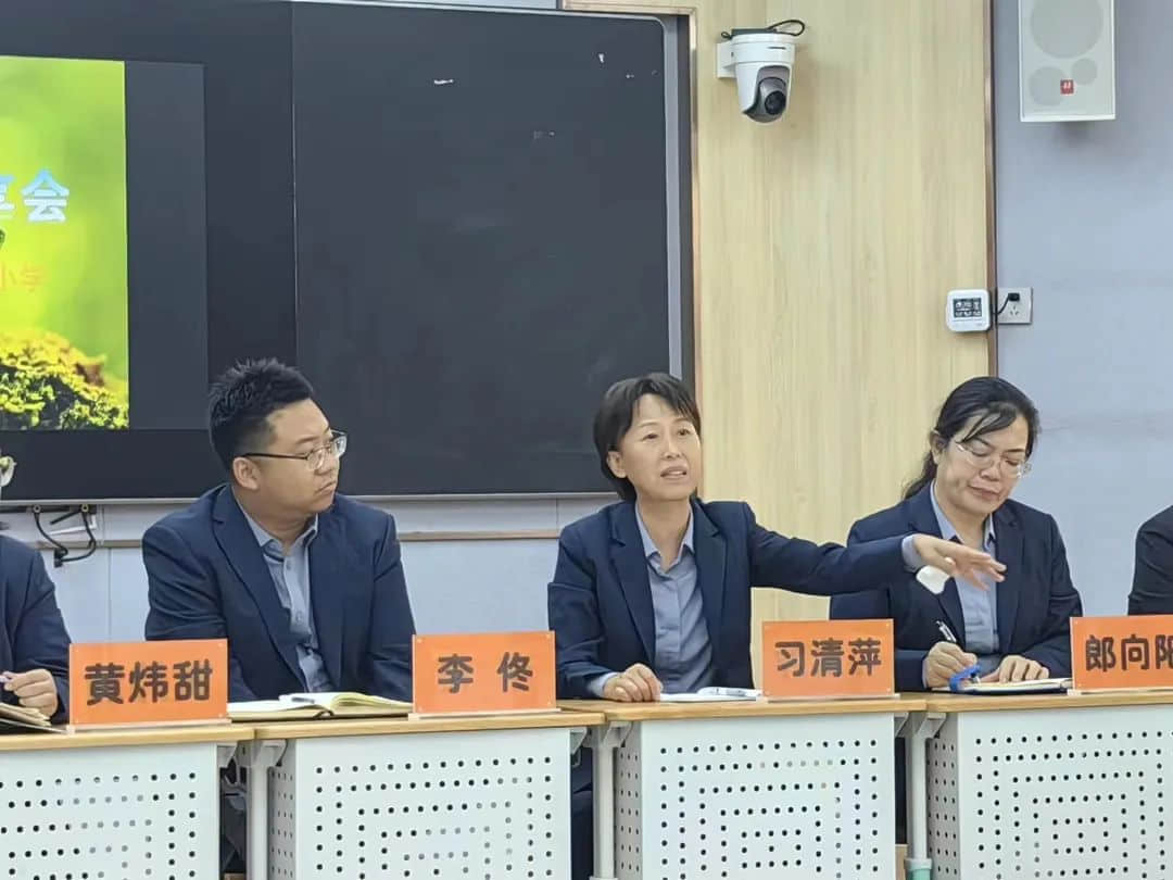 【立小•种子工程】逐光而行 向阳而生｜种子教师成长交流活动