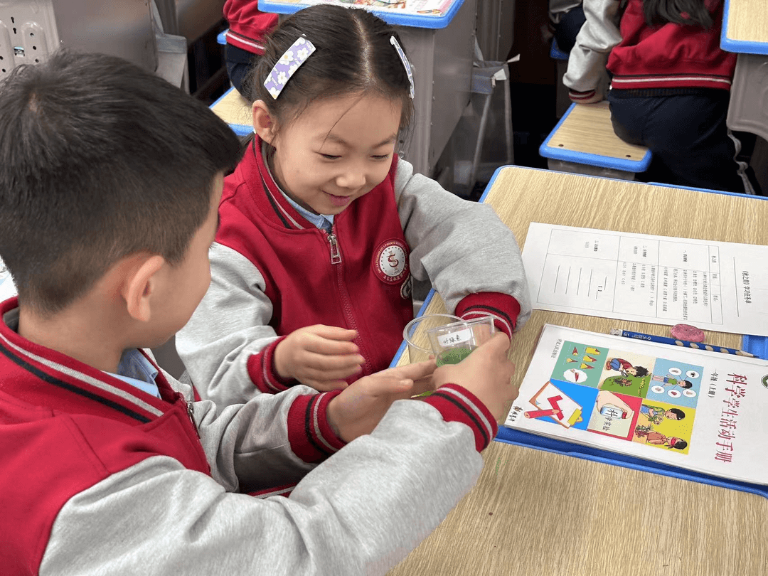 【立小•项目式学习】寻秋之美 探秋之韵｜一年级跨学科秋之韵主题融合实践