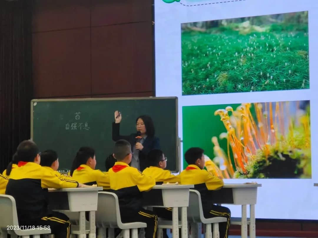 【立小•聚光灯】课程撬动 学校蝶变｜全国高质量教育发展下课例展示——立小团队邢台站精彩落幕
