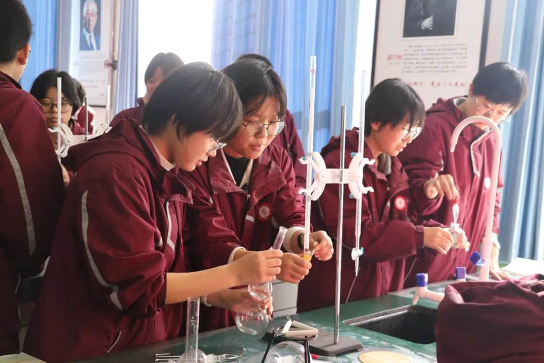 探实验之趣 享科学之美丨高二年级实验探究课