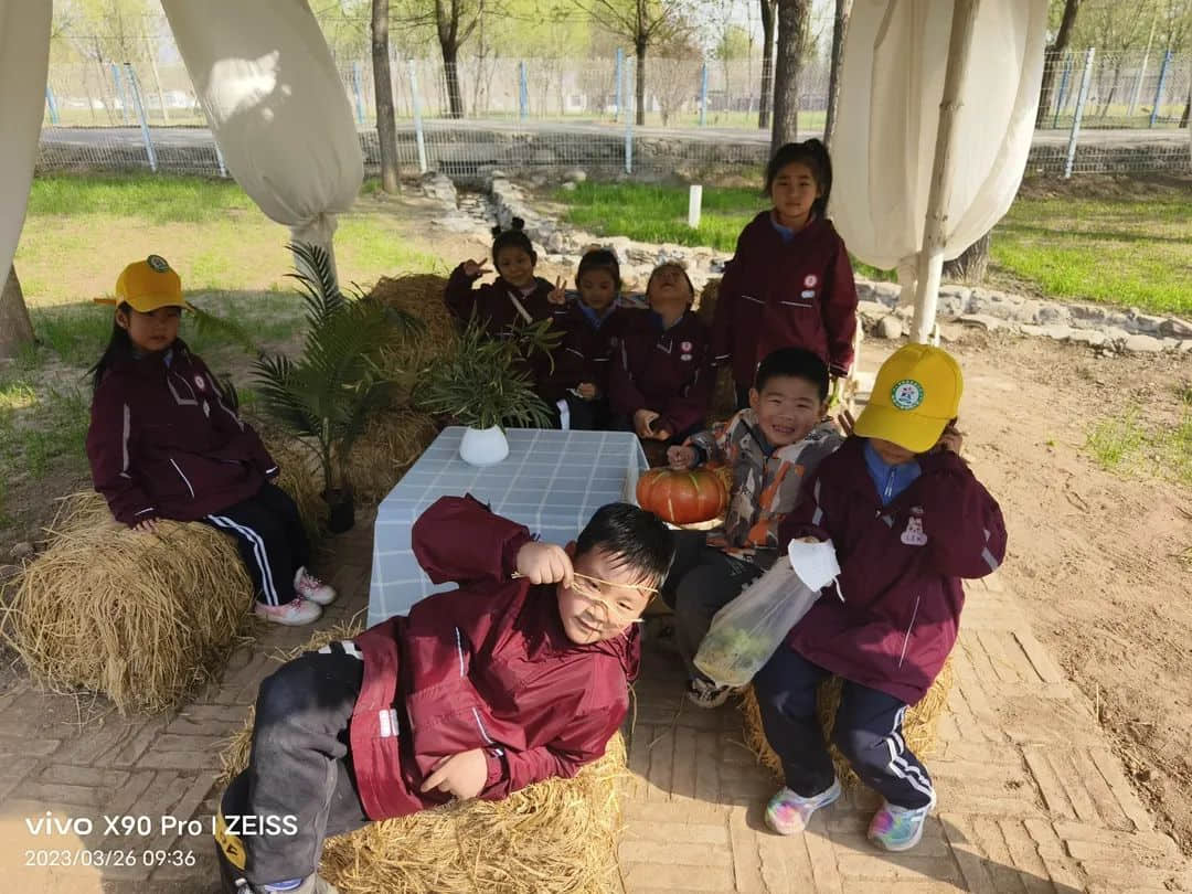 【立小•班本课程】小报大文章 习作展风采 | 二十班习作主题班本课程纪实