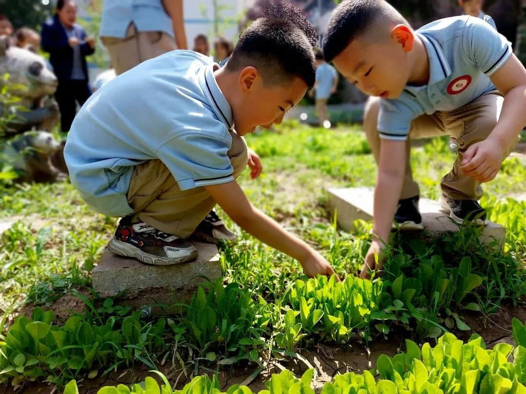 【预•成长】那些属于我们的时光 ——石家庄私立一中附小预科部时光故事