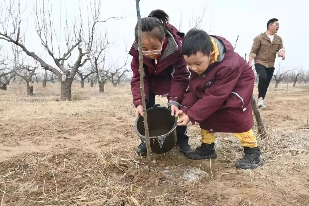 【立小•五立德育】“植”此青绿 共“树”春晖｜立娃植树节劳动实践