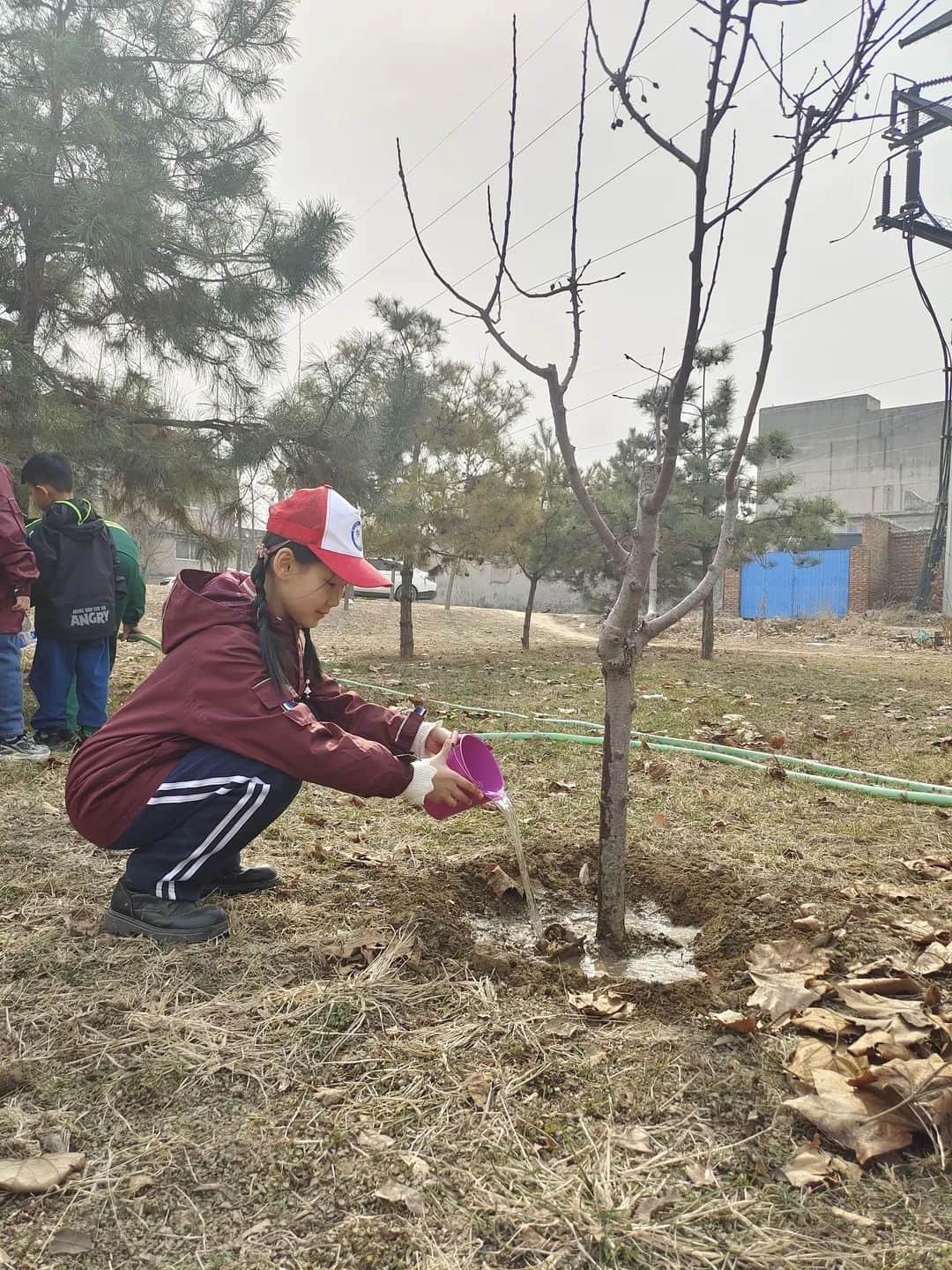 【立小•五立德育】“植”此青绿 共“树”春晖｜立娃植树节劳动实践