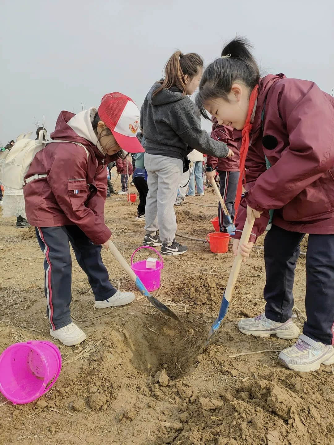 【立小•五立德育】“植”此青绿 共“树”春晖｜立娃植树节劳动实践