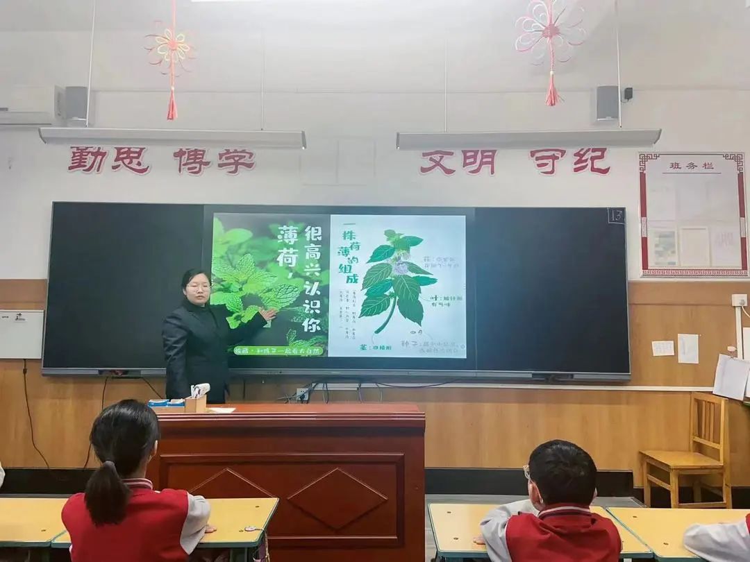 【立小•生命教育】寻味种植园 探秘中草药｜三年级百草园种植课程开启仪式