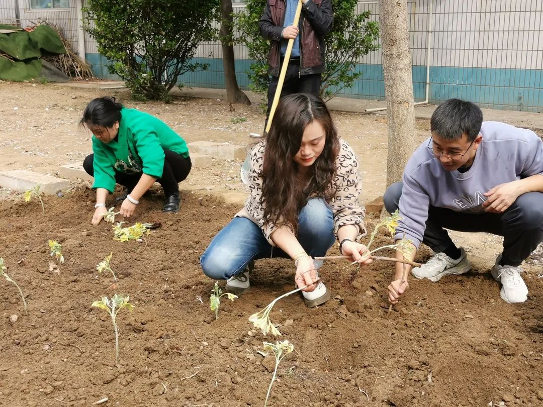 【立小•生命教育】寻味种植园 探秘中草药｜三年级百草园种植课程开启仪式