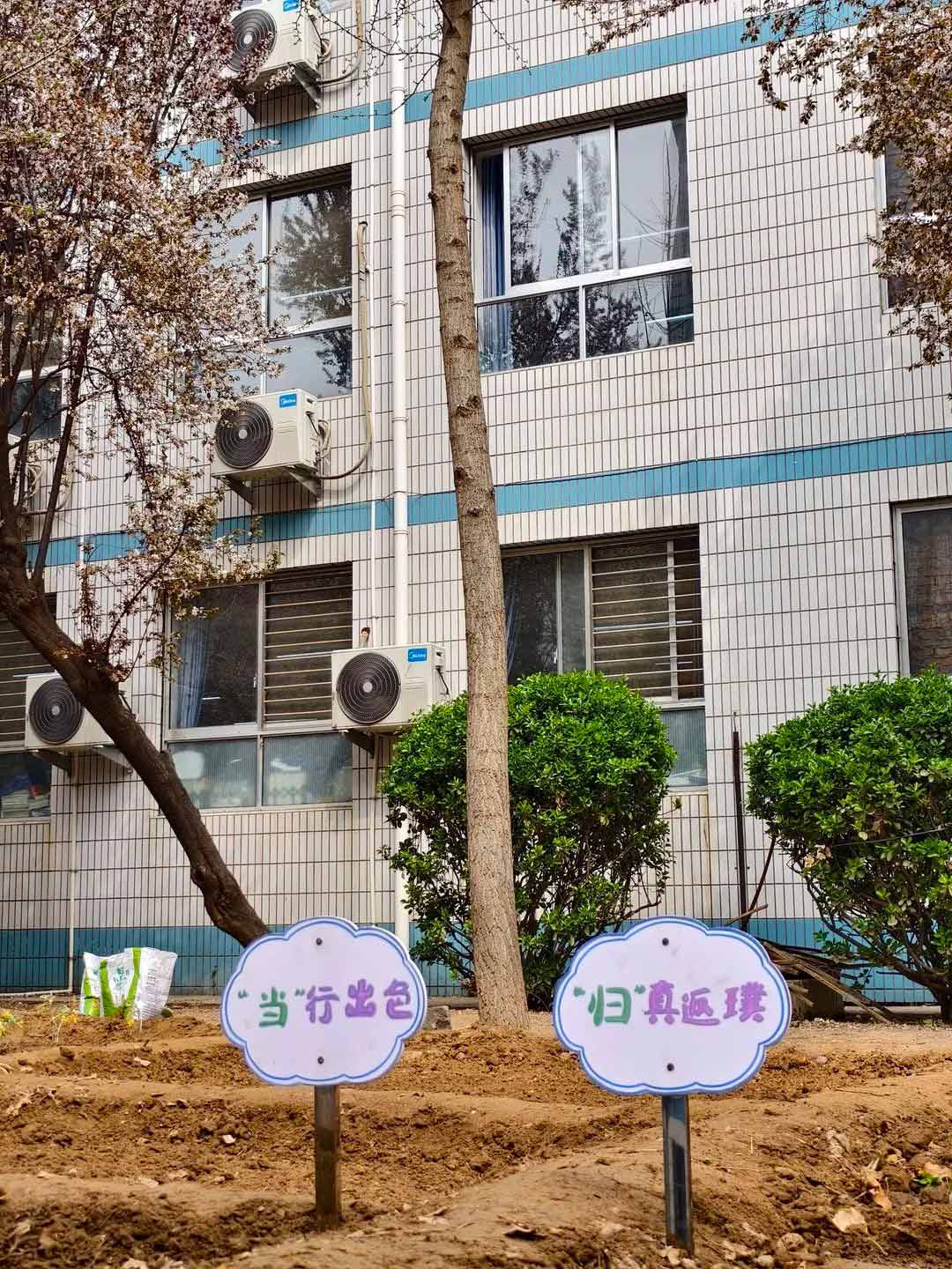 【立小•生命教育】寻味种植园 探秘中草药｜三年级百草园种植课程开启仪式