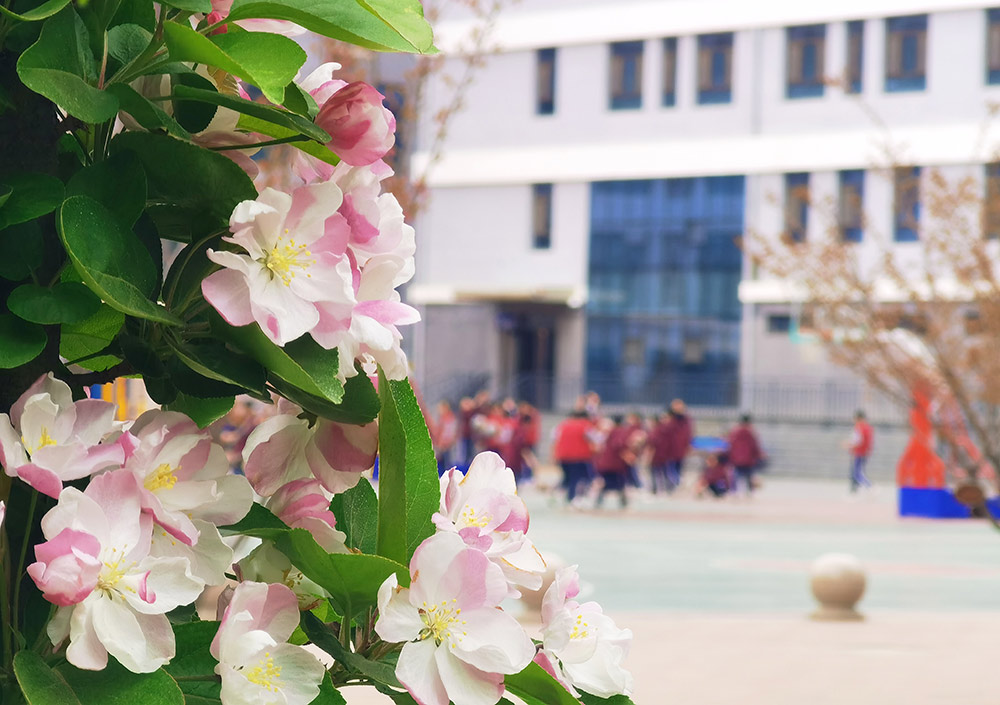 青春 · 春之约！