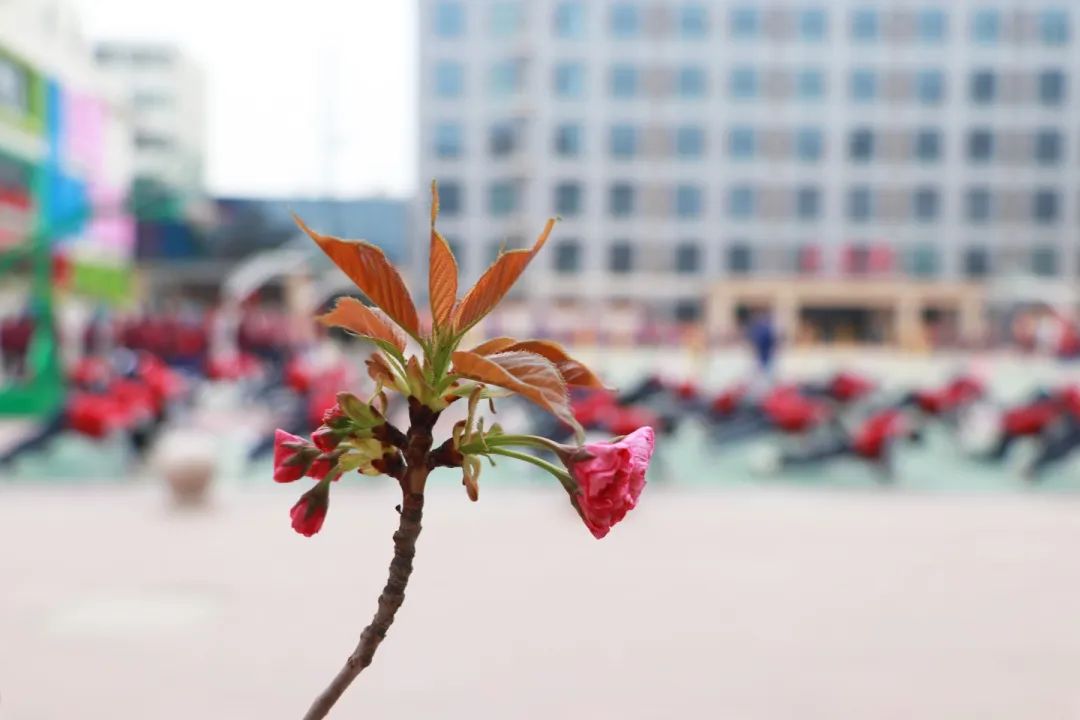 青春 · 春之约！