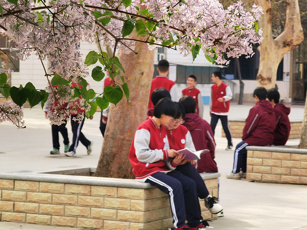 青春 · 春之约！