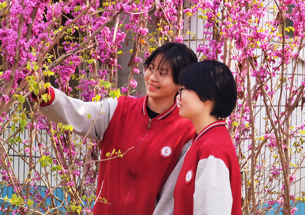 青春 · 春之约！