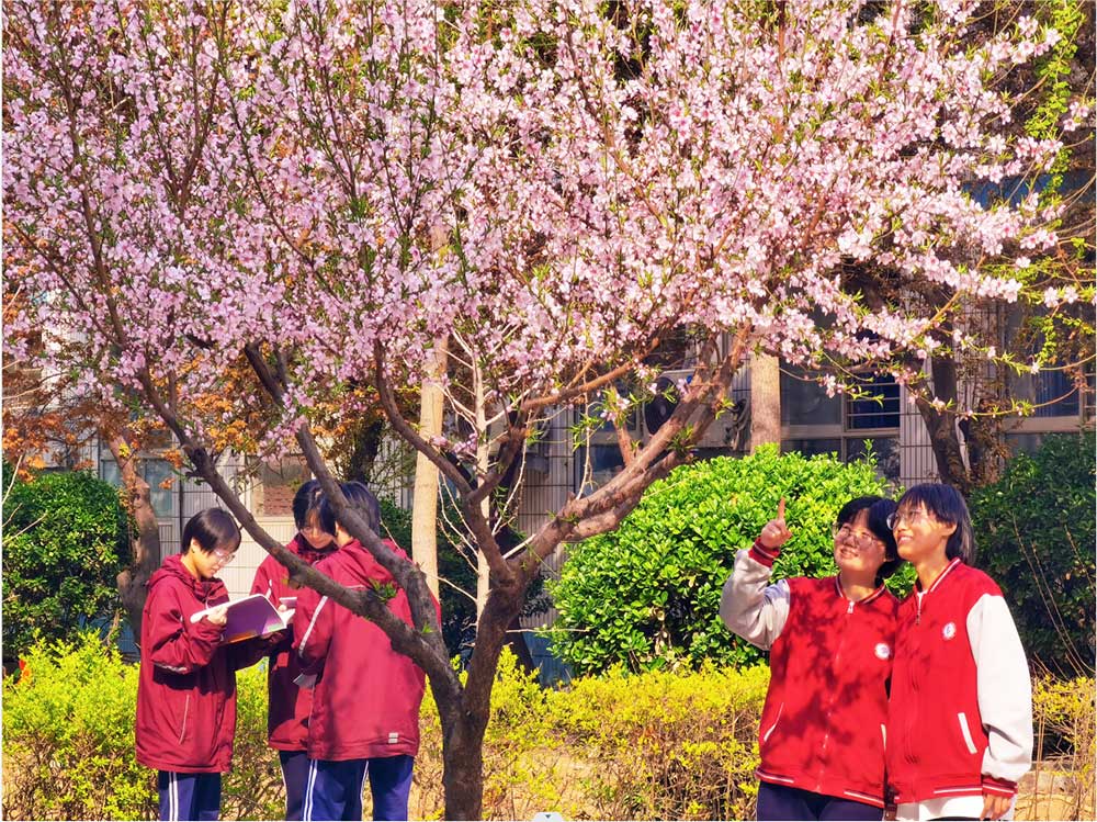 青春 · 春之约！