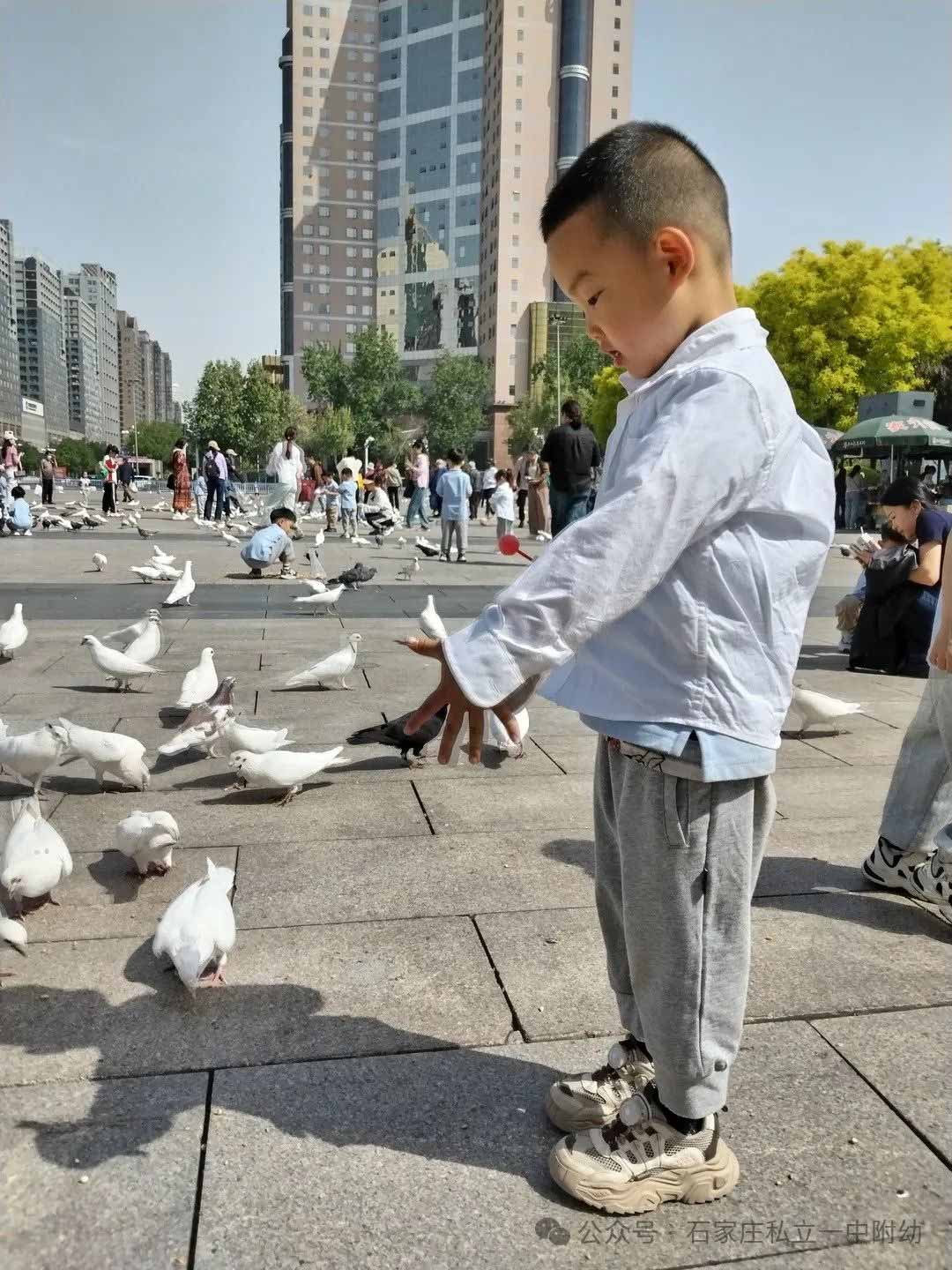 【春游】时光恰好 “幼趣”春游---幼儿科技馆之行